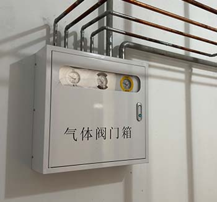 气体阀门箱